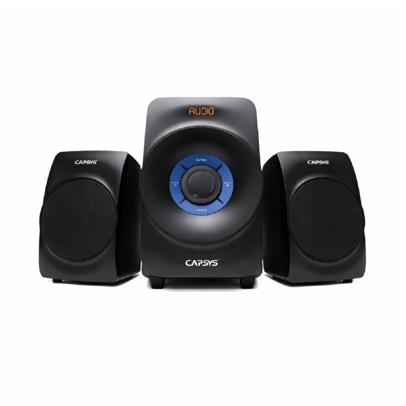 Haut Parl capsys ECO14 Bluetooth/Wifi/commande